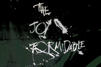 The Joy Formidable 8-13-16